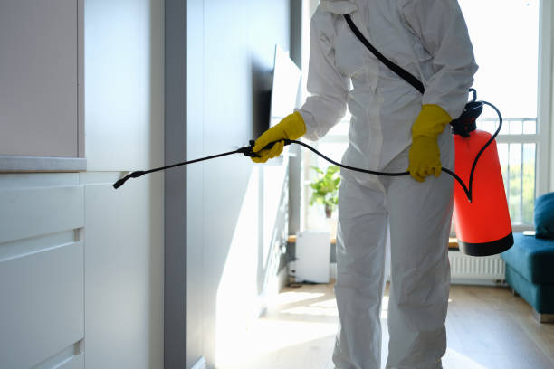 Best Crawl Space Mold Removal  in Bon Air, VA